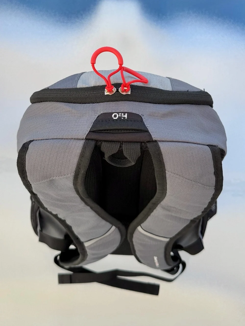 SwissGear Dash Pack Laptop Backpack CP156